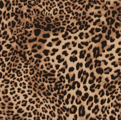 Tan Through Classic Bikini Bottoms - Mini Feline