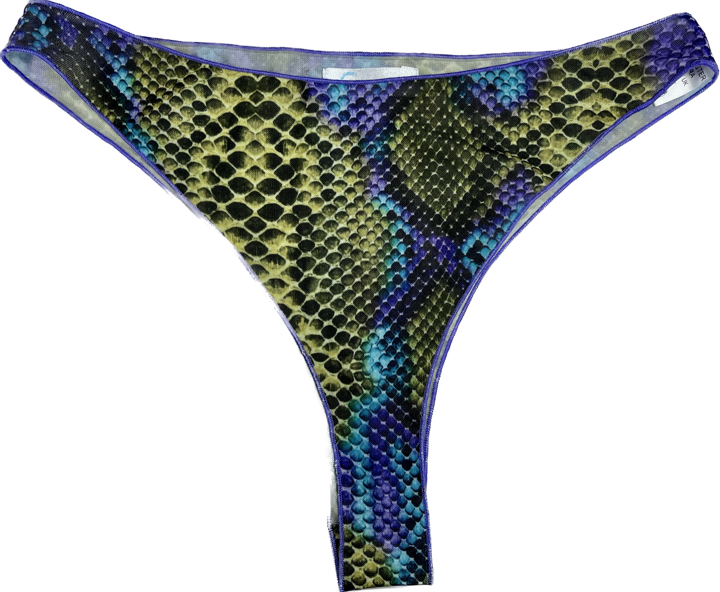 Tan Through Thong Bikini Bottom